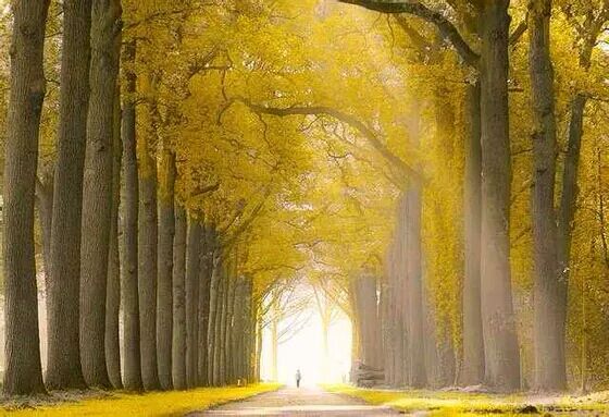 英文小诗100首系列一我有故事你有酒吗？