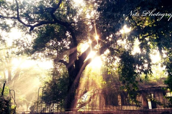 英文小诗100首系列一我有故事你有酒吗？