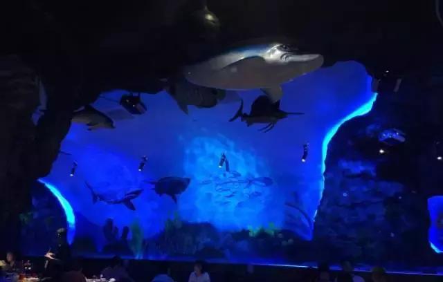 还没睡？进来看看你叫过昆山哪只*吧鸡**！