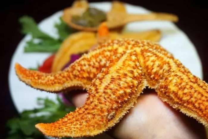 所有的美好都藏在不经意间，日式顶级活造刺身料理等你来寻味！