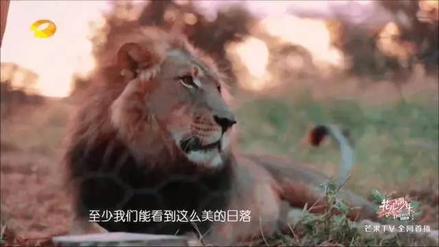 一生必去的地方,一生必去的地方高清