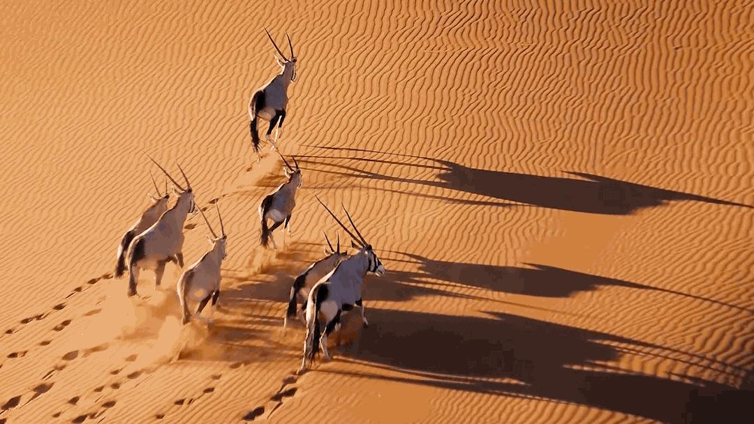 一生必去的地方,一生必去的地方高清