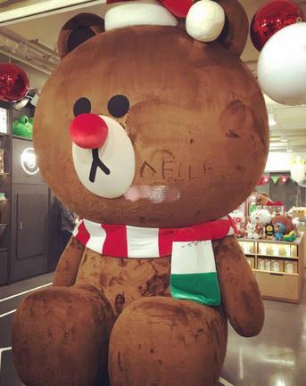 喜欢布朗熊可妮兔的你快看过来!