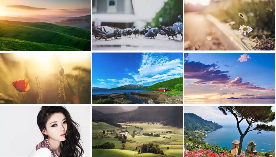 设计搜图神器,设计师必备搜图软件