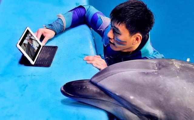 热巴亲海豚是什么时候,热巴和海豚