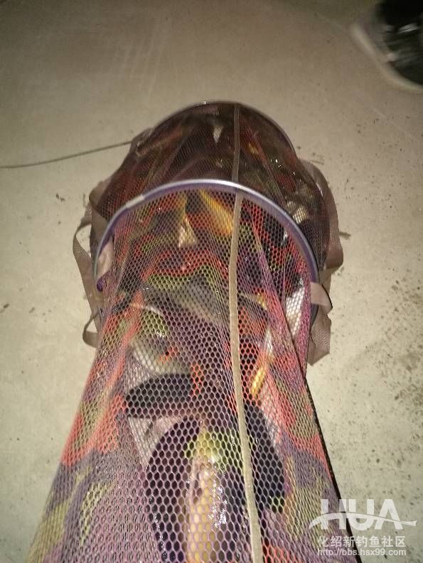 钓无定律，灵活运用不放弃完美上岸，收竿鱼得大青！