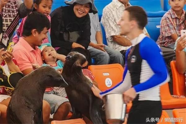 亲子游适合去泰国哪里,泰国普吉岛亲子游旅游攻略