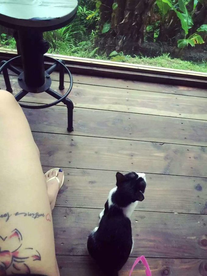 带着思念去旅行完整版,带着思念去海边