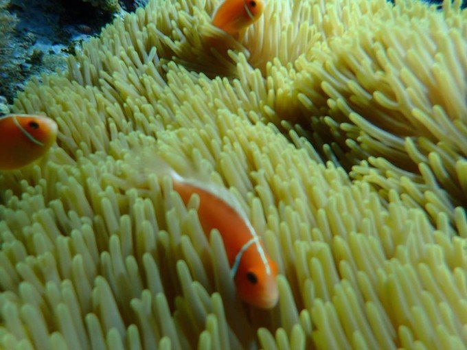 带着思念去旅行完整版,带着思念去海边