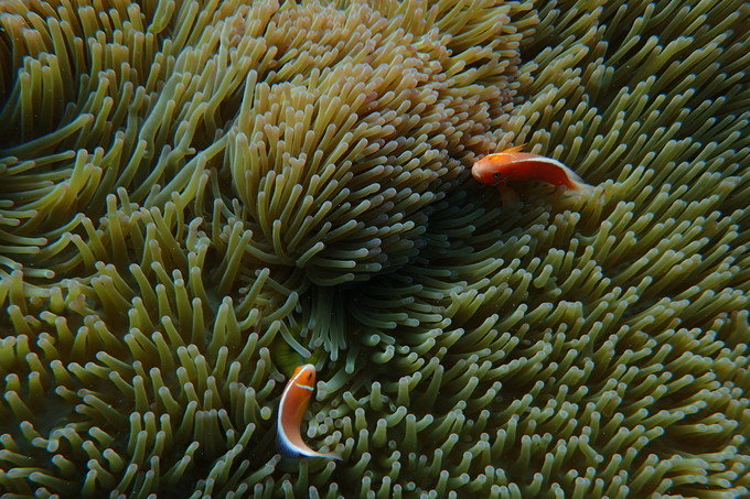 带着思念去旅行完整版,带着思念去海边