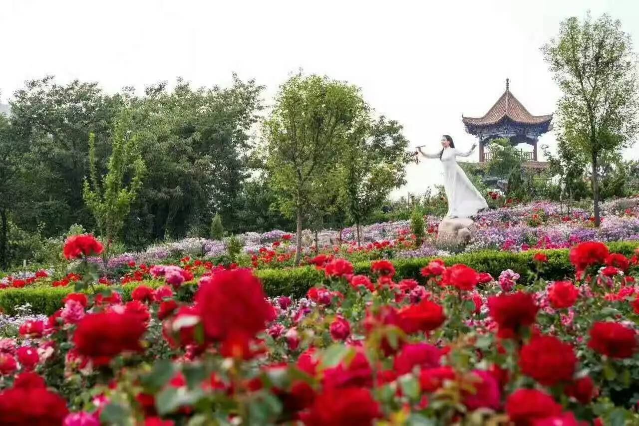黛眉山一日游攻略大全,黛眉山景区一日游攻略夏季
