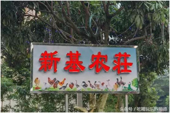 高配的自家农场农庄开始大放价,38蚊/打湛江生蚝!1蚊炸云吞