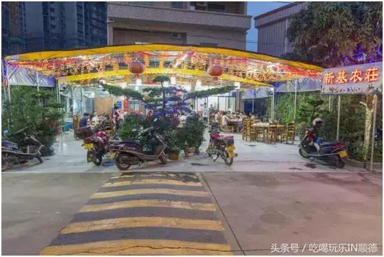 高配的自家农场农庄开始大放价,38蚊/打湛江生蚝!1蚊炸云吞