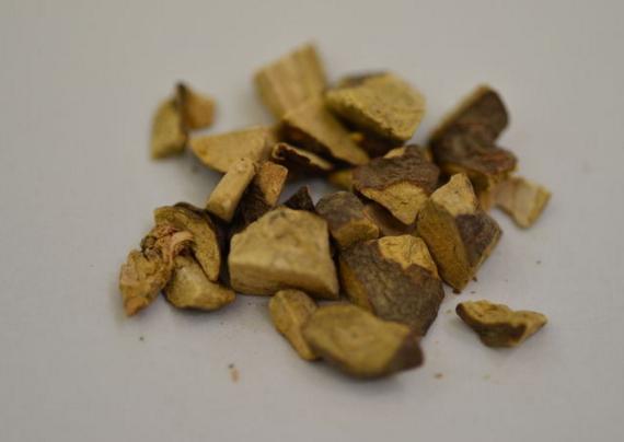 旱莲草的止血功效,旱莲草配什么中药止血效果好