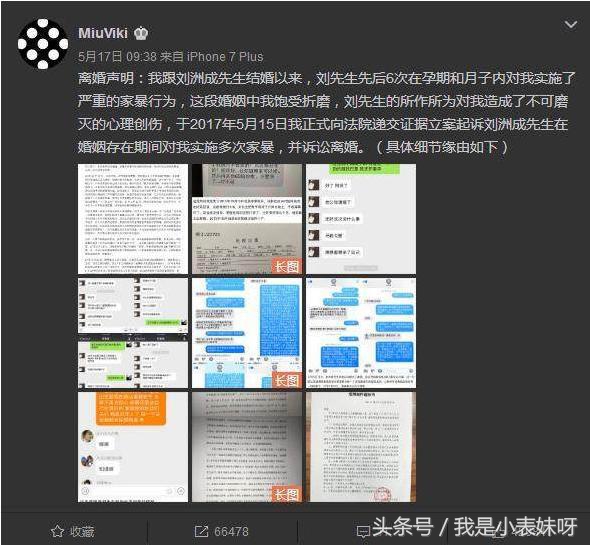 刘洲成回应评论,刘洲成直播网友评论