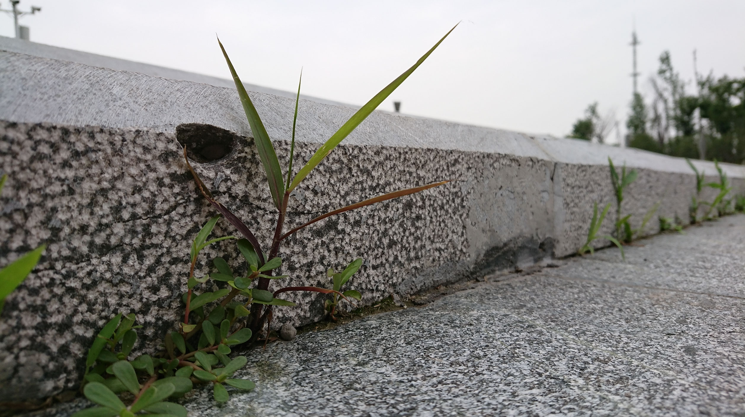 索尼大法测评视频,索尼大法相机好吗