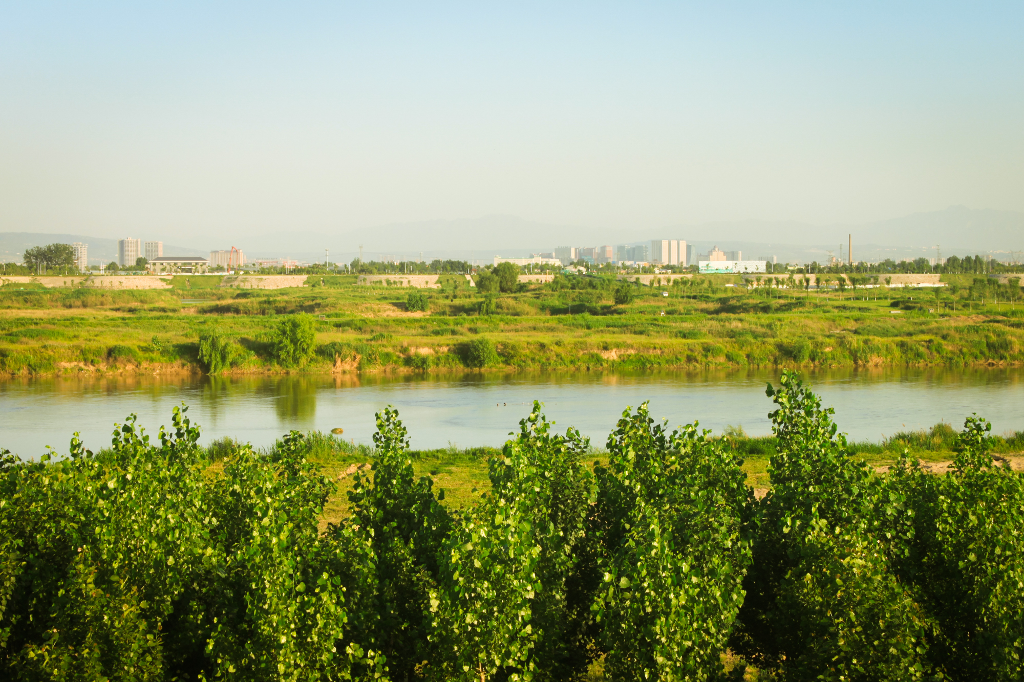 泾渭分明泾河为何清澈,泾河渭河泾渭分明是哪里