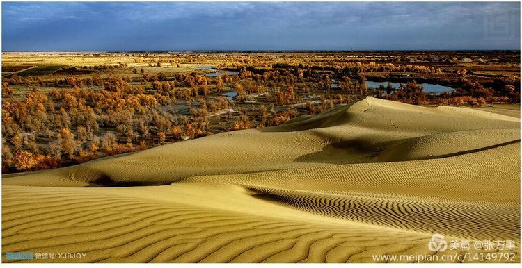 美丽*疆新**100张——美在雪山,美在草原,美在戈壁,美在心灵!