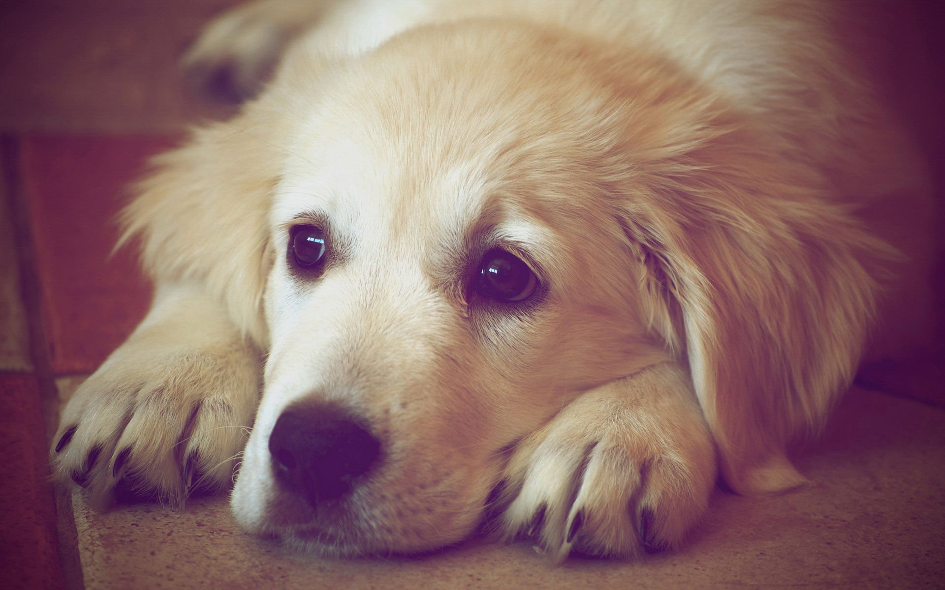 word简单使用教程,怎么打开word初学者零基础教程