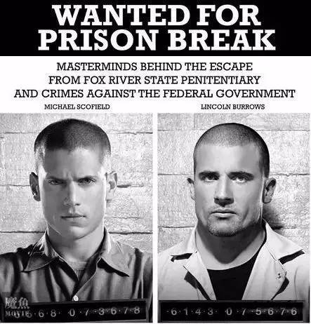 史上最厉害的越狱大师电影,越狱电影十大巅峰之作金蝉脱壳