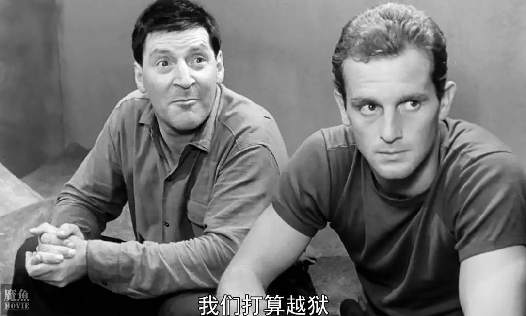 史上最厉害的越狱大师电影,越狱电影十大巅峰之作金蝉脱壳