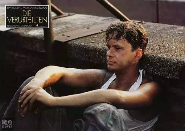 史上最厉害的越狱大师电影,越狱电影十大巅峰之作金蝉脱壳