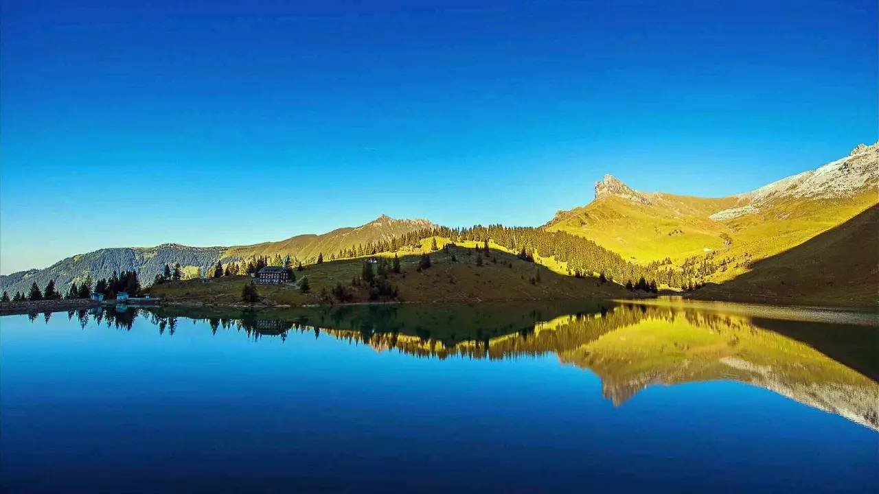 海信智慧屏电视86寸,海信电视ec880怎么样