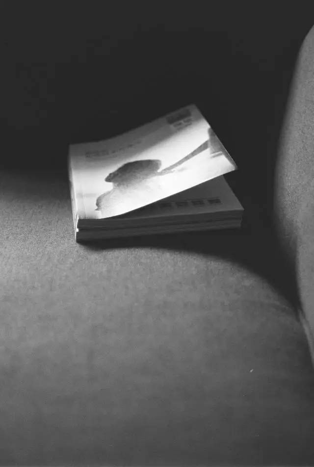 快乐就是无拘无束,快乐就是肆意妄为