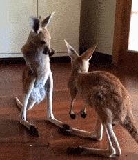 给对象织围脖寓意着分手吗,织围巾送男朋友代表啥