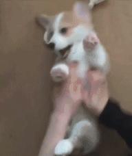 给对象织围脖寓意着分手吗,织围巾送男朋友代表啥