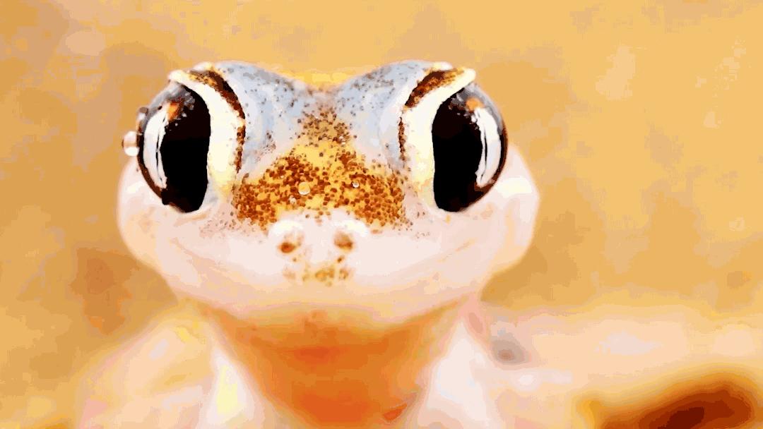 一生必去的地方,一生必去的地方高清