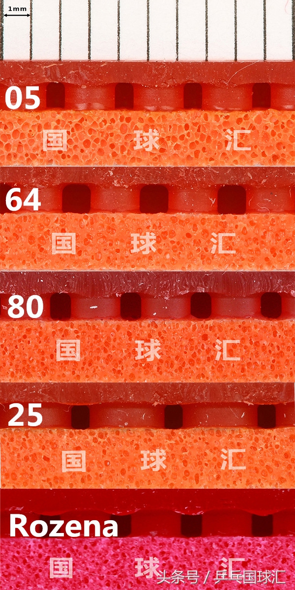 乒乓球蝴蝶套胶有几种怎样选,乒乓球蝴蝶套胶海绵厚度怎么选择