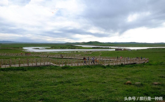 成都租车到九寨沟需要多少钱,从成都租车去若尔盖多少钱一天