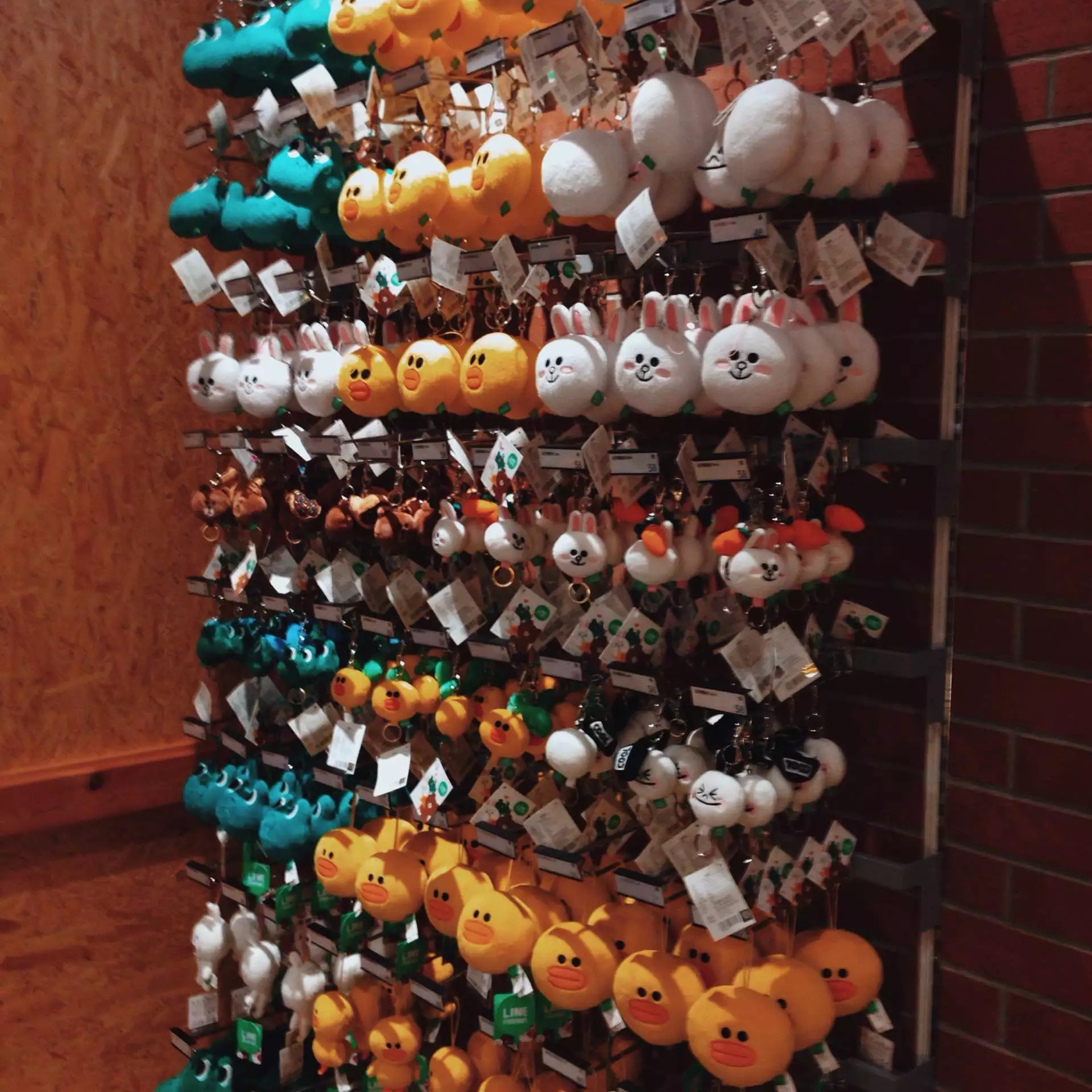 喜欢布朗熊可妮兔的你快看过来!