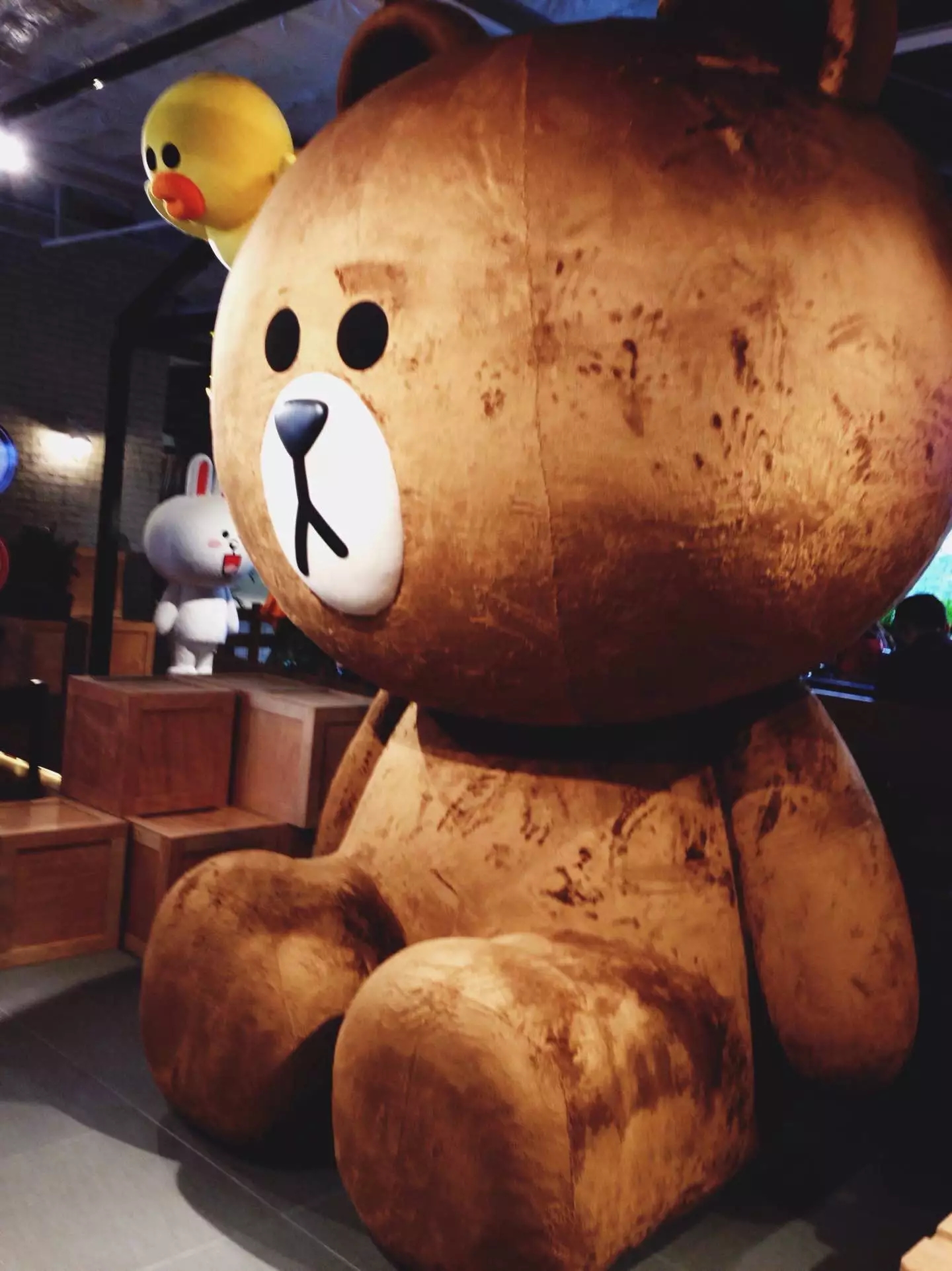 喜欢布朗熊可妮兔的你快看过来!