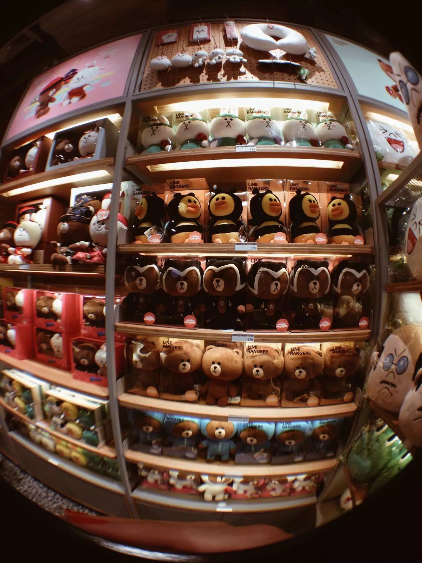 喜欢布朗熊可妮兔的你快看过来!