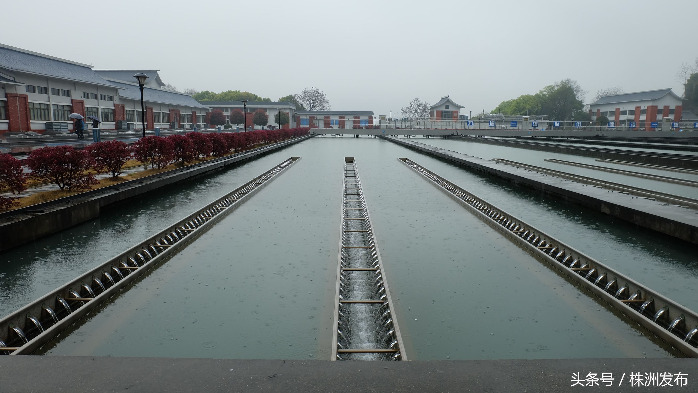 停水后,再来的水为什么会发黄,株洲市自来水公司总经理为你答疑