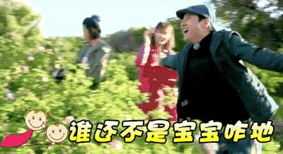 林志玲和马丽谁才是女汉子,林志玲沈腾花样姐姐