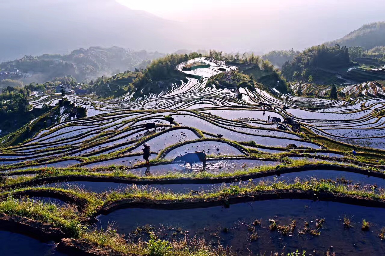 云和梯田日出云海景点攻略,梯田日出云海美不胜收