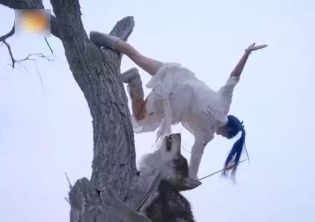 《楚乔传》结局大揭秘！窦骁PK林更新，一个初恋、一个最终相守