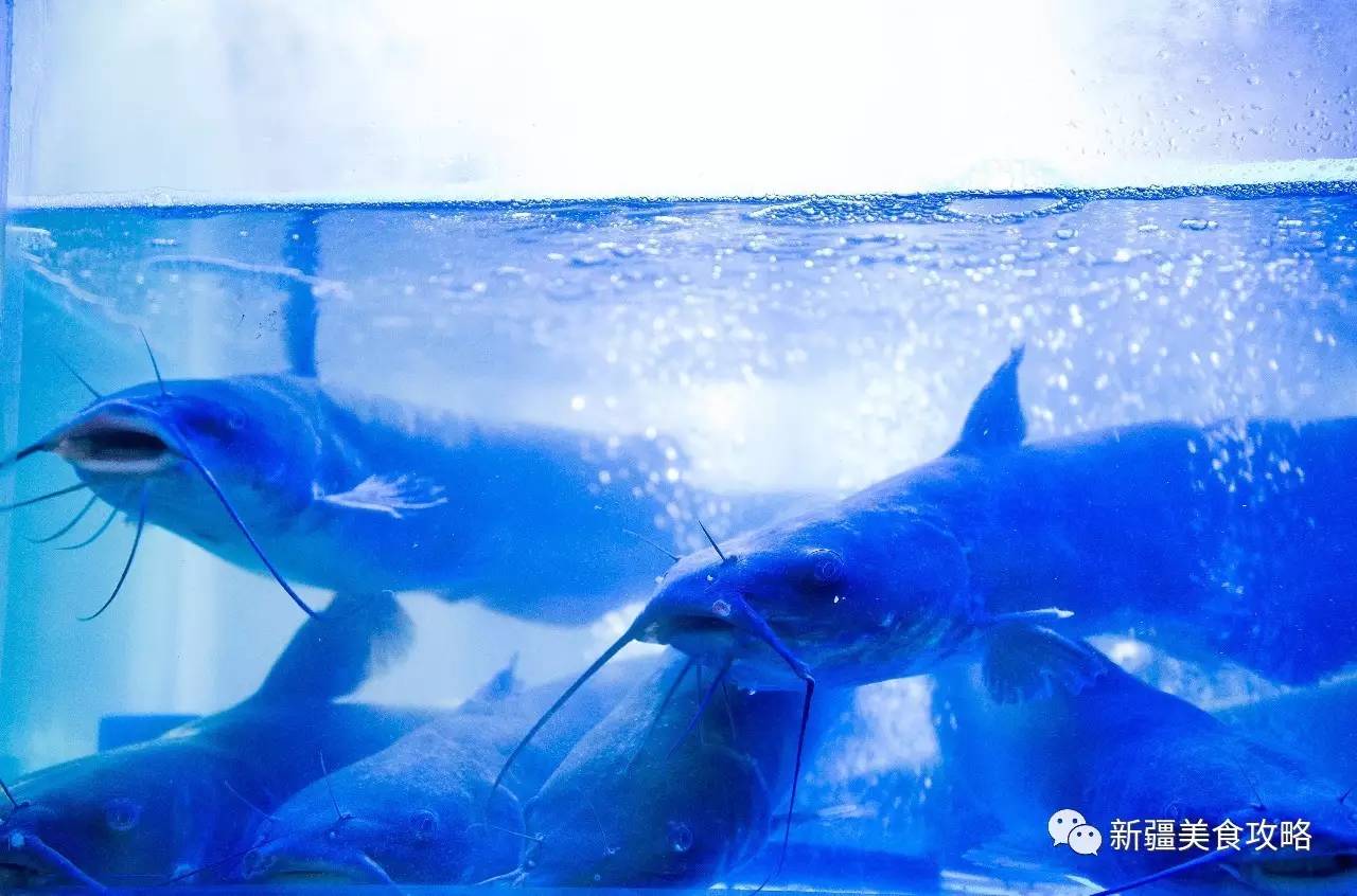 杜蕾斯超薄0.01评测,0.06mm厚度的杜蕾斯