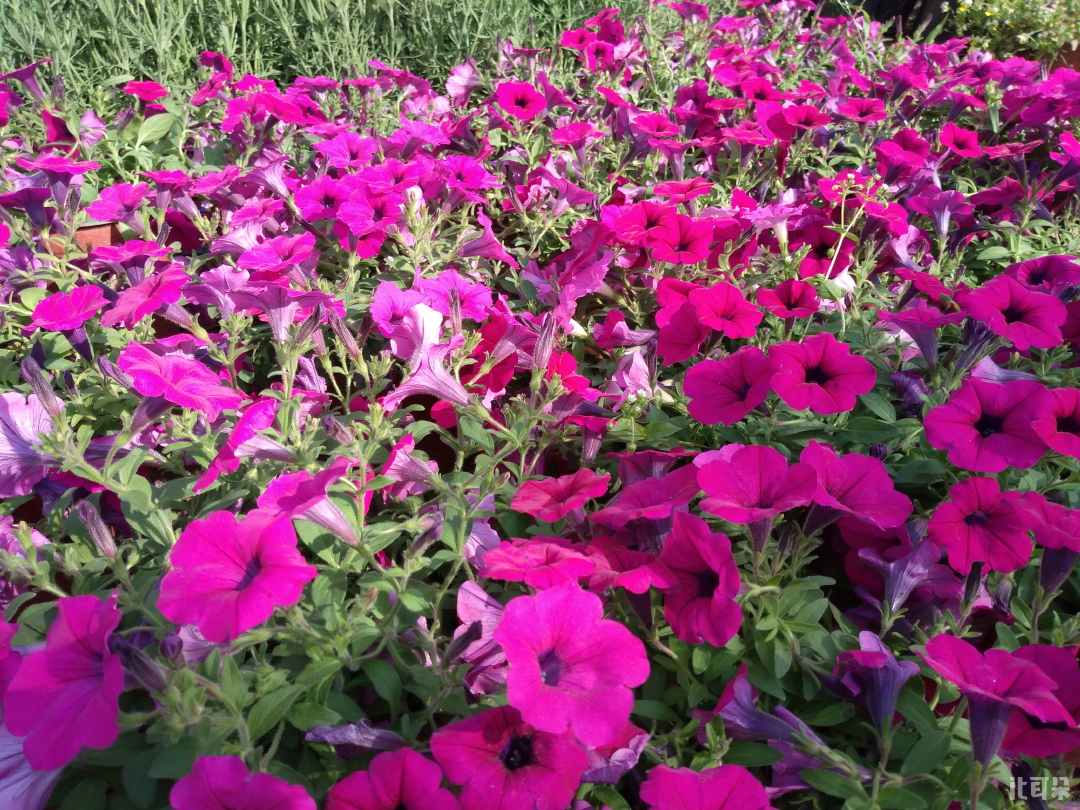 测评360n5,360n5s手机全评测