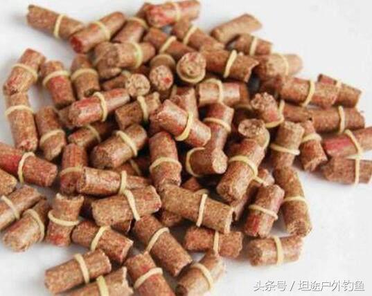 钓鱼遇到小鱼闹窝怎么办,虾闹窝最有效解决办法