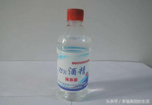 花草除虫的最佳方法,盆栽花除虫防虫技巧