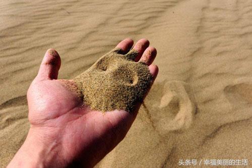 花草除虫的最佳方法,盆栽花除虫防虫技巧