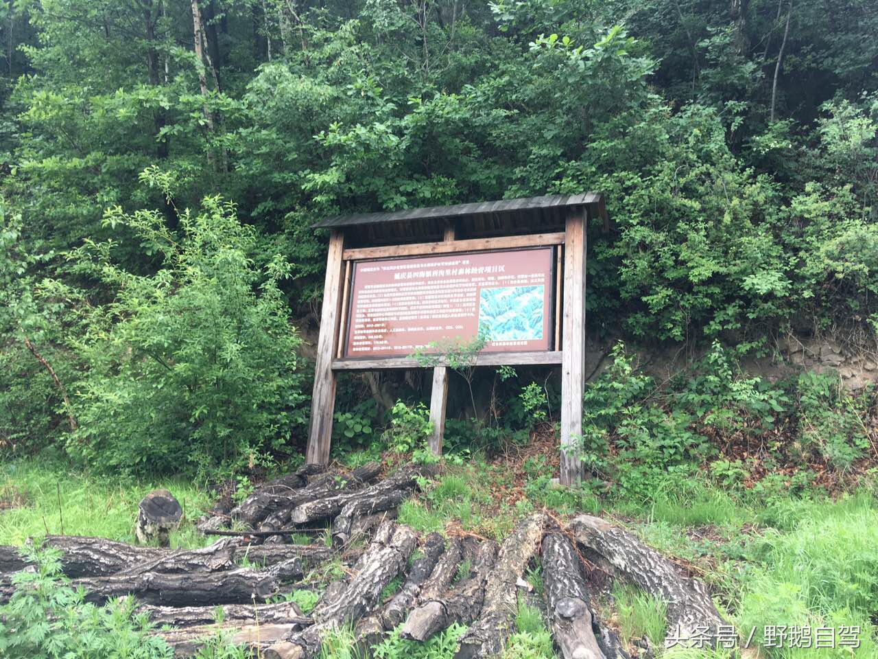 野鹅自驾:一个小泉眼,却养活了整个村子,冒出的气泡酷似珍珠!