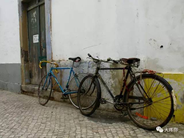 老司机满分作文,满分作文高考范文开车