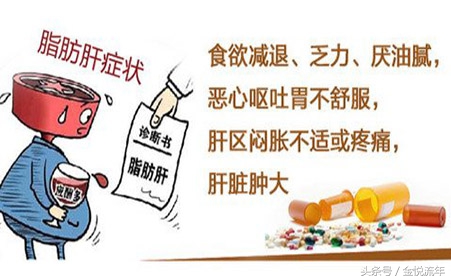 大家都在传,三七对脂肪肝的防治作用特别好?