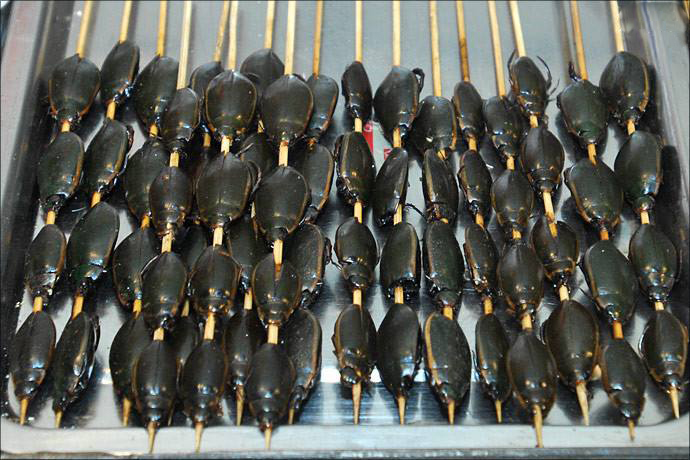 三款令人不可思议的美食,这些神奇的美食让你更惊艳