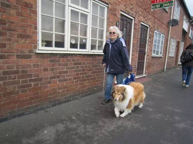 苏州宠物可去的景点,苏州宠物打卡景点在哪里